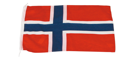 Gste flag Norge 20x30 cm