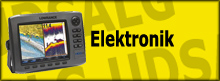 Elektronik