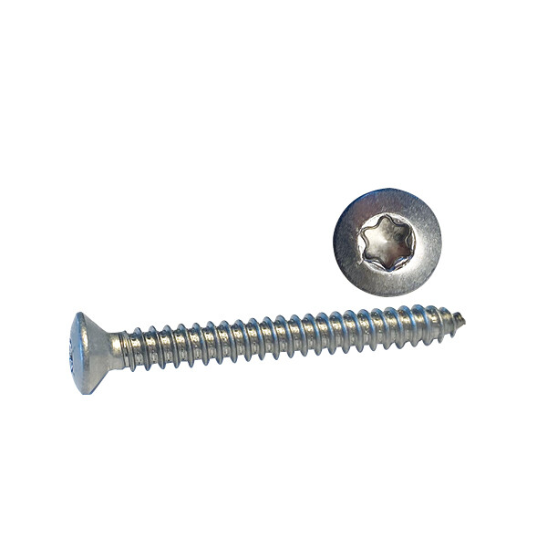 Selvsk�rende skrue linsehoved torx tx30 6,3x50