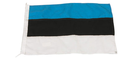 Gste flag Estland 30x45 cm