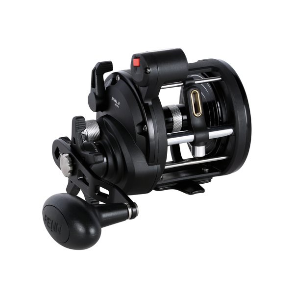 Penn RIVAL� II LEVEL WIND 30LC