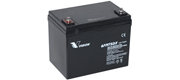 AGM batteri Vision 75 Ah